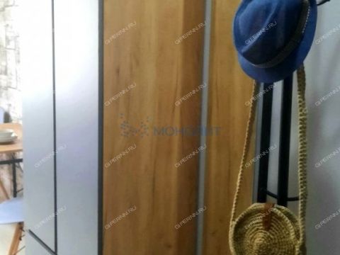 kvartira-studiya-ul-burnakovskaya-d-61 фото