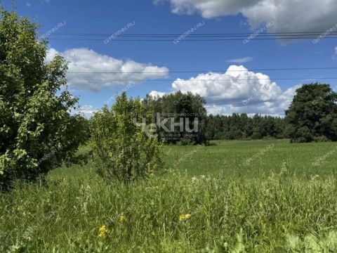 selo-bezvodnoe-kstovskiy-rayon фото