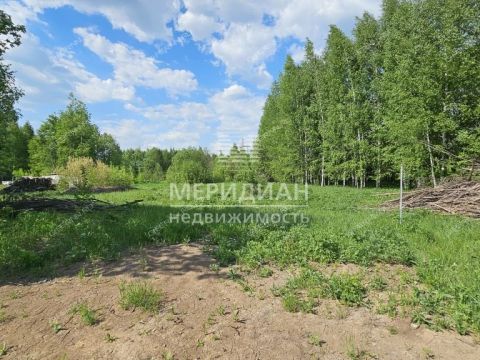 poselok-oktyabrskiy-gorodskoy-okrug-bor фото