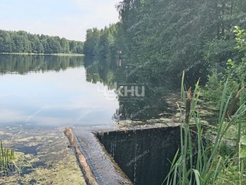 dom-derevnya-dolgusha-gorodeckiy-rayon фото