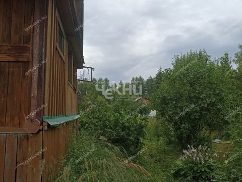 dacha-derevnya-uspene-semenovskiy-gorodskoy-okrug фото