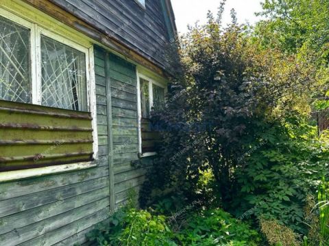 dacha-snt-druzhba-snt-druzhba фото