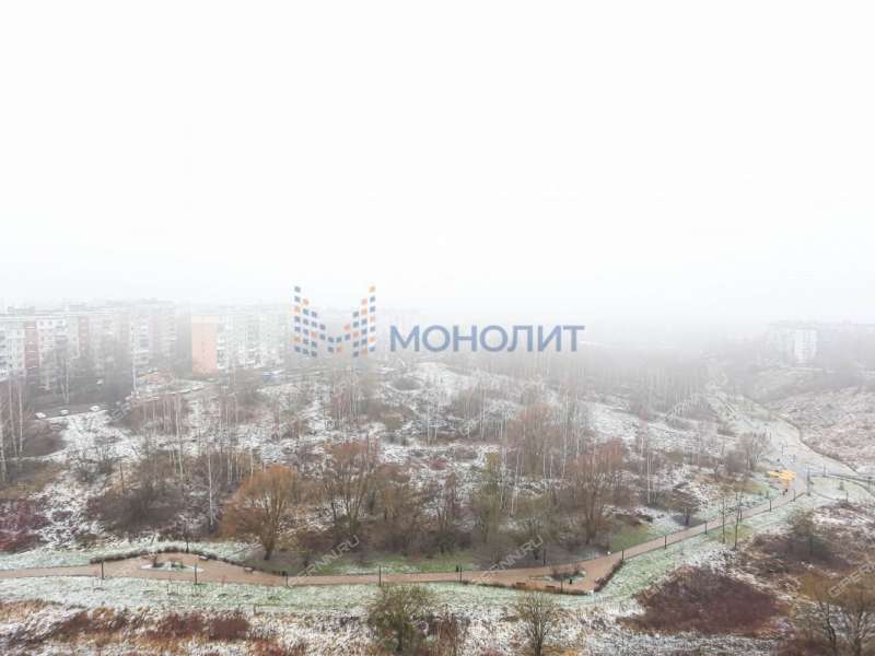 двухкомнатная квартира на улице Германа Лопатина дом 8