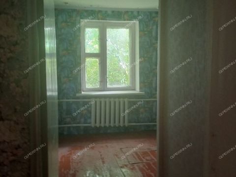 taunhaus-selo-yagodnoe-perevozskiy-gorodskoy-okrug фото