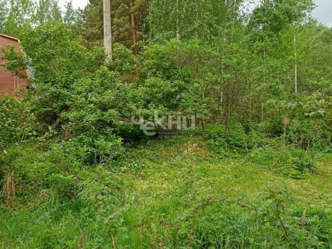 dacha-derevnya-uspene-semenovskiy-gorodskoy-okrug фото