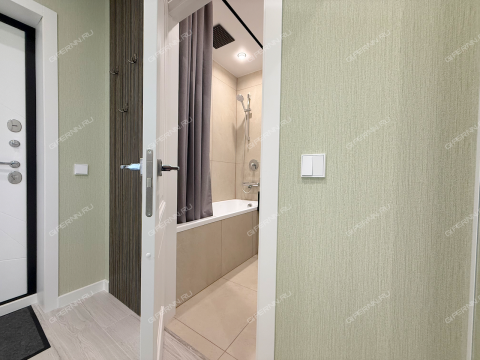 1-komnatnaya-per-vishnevyy-d-3 фото