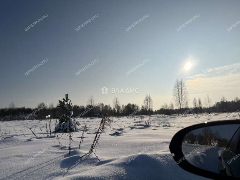 дом на 10 деревня Завражное, Зиняковский сельсовет