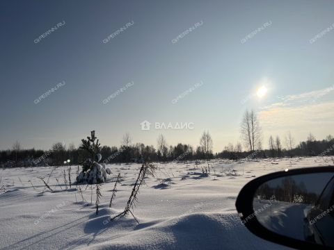 dacha-derevnya-zavrazhnoe-zinyakovskiy-selsovet-gorodeckiy-rayon фото
