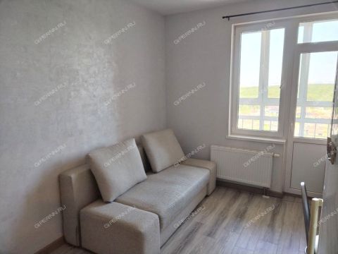 1-komnatnaya-derevnya-ankudinovka-kstovskiy-rayon фото