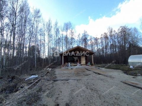 dom-derevnya-dyakovo-semenovskiy-gorodskoy-okrug фото