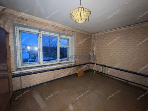 2-komnatnaya-derevnya-sysoevka-bogorodskiy-municipalnyy-okrug фото