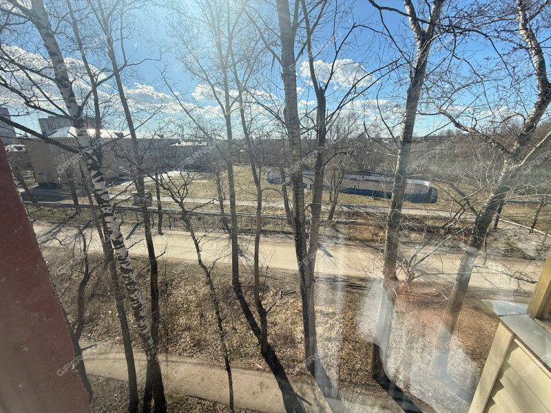 двухкомнатная квартира на Знаменской улице дом 5