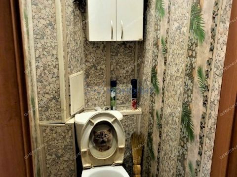 2-komnatnaya-ul-dvizhencev-d-4 фото