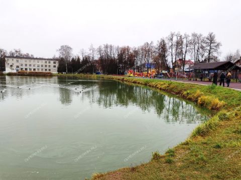 gorod-bogorodsk-bogorodskiy-municipalnyy-okrug фото