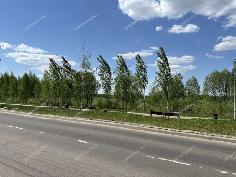 двухкомнатная квартира на улице Пермякова дом 10