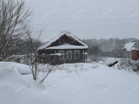 selo-motmos-gorodskoy-okrug-vyksa фото