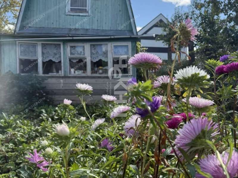 дом на  деревня Ройка