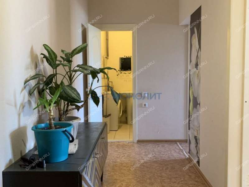 однокомнатная квартира на проспекте Кораблестроителей дом 70