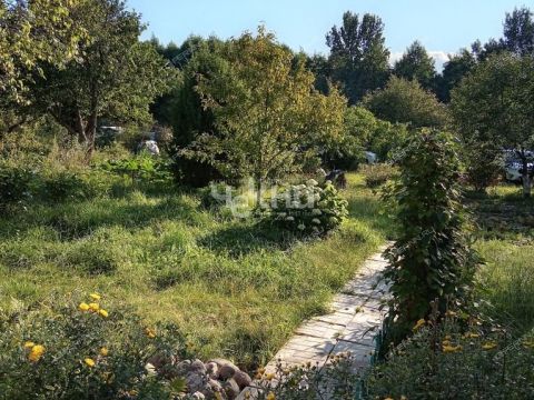 dacha-gorod-zavolzhe-gorodeckiy-rayon фото