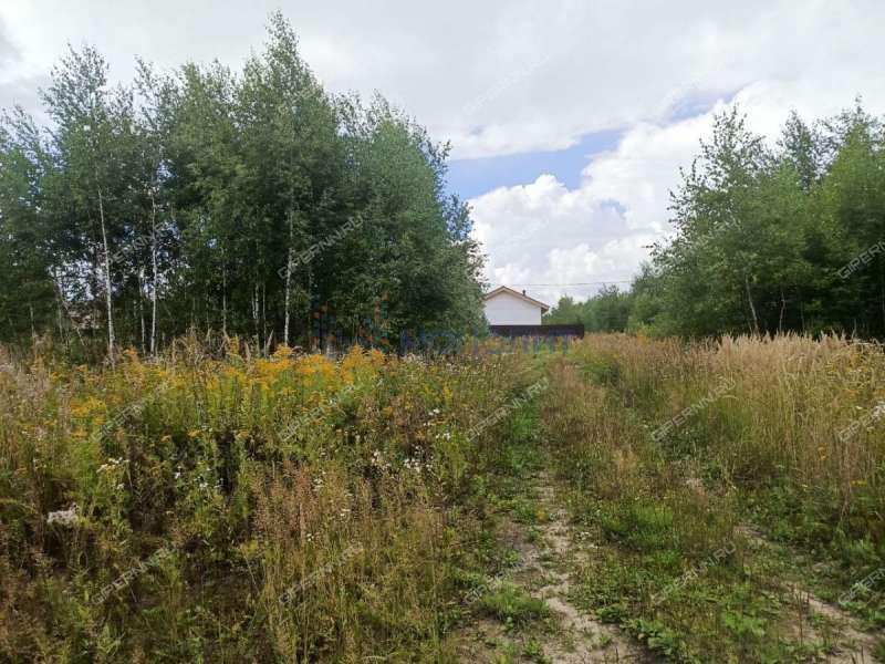 земельный участок 12 соток Радужная улица деревня Заозерье