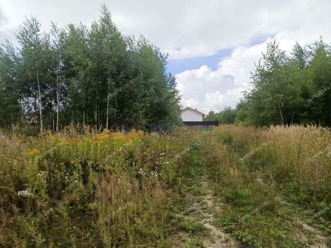 derevnya-zaozere-bogorodskiy-municipalnyy-okrug фото