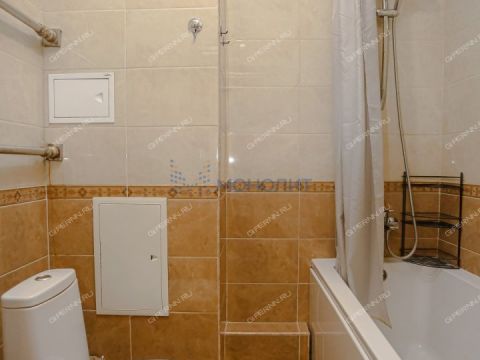 1-komnatnaya-derevnya-ankudinovka-kstovskiy-rayon фото