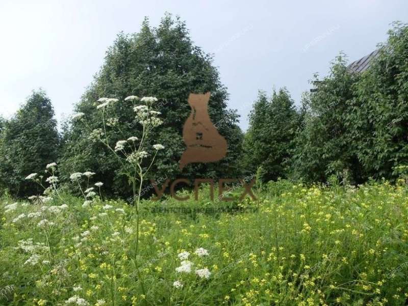 земельный участок 54 сотки Колхозная улица деревня Чанниково