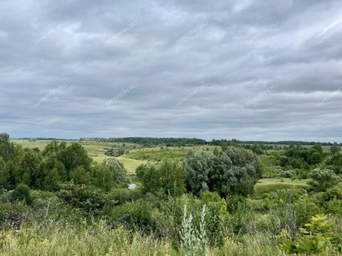 dom-selo-korsakovo-perevozskiy-gorodskoy-okrug фото
