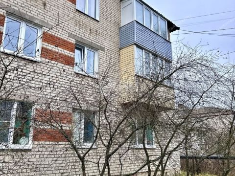 1-komnatnaya-selo-kantaurovo-gorodskoy-okrug-bor фото