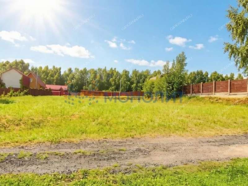 земельный участок под сельхоз назначение в Богородском районе Нижегородской области