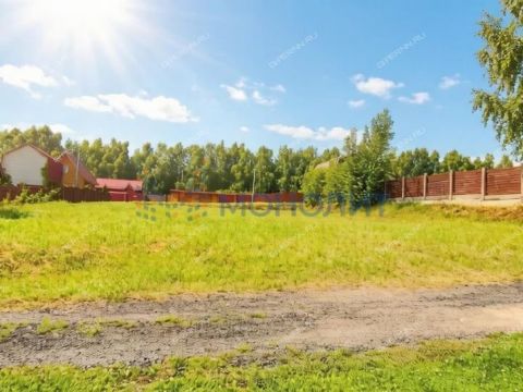 derevnya-orinkino-bogorodskiy-municipalnyy-okrug фото