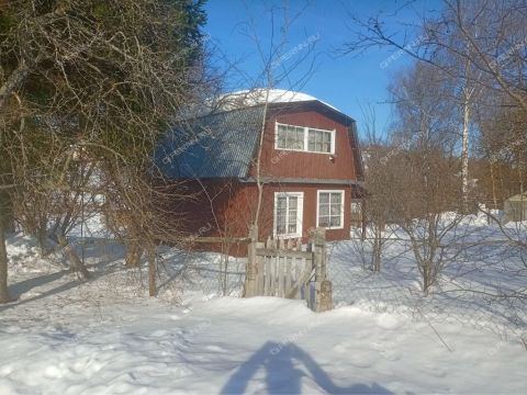 dacha-snt-druzhba-snt-druzhba фото