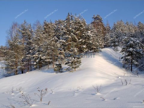 selo-tatinec-kstovskiy-rayon фото