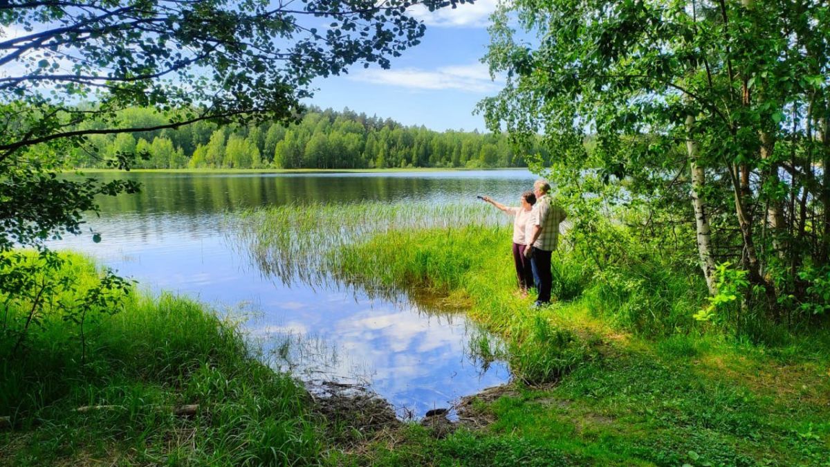 Три водоема в Нижегородской области хотят расчистить по новому нацпроекту