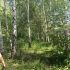 земельный участок 32 сотки Парковая 2-я улица деревня Бурцево