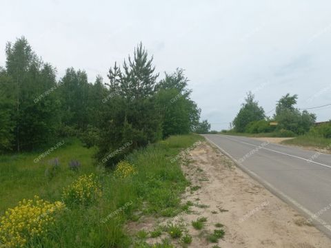 derevnya-inyutino-bogorodskiy-municipalnyy-okrug фото