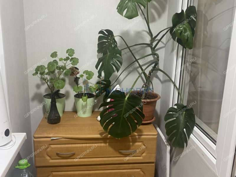 однокомнатная квартира на улице Новокузнечихинская дом 14