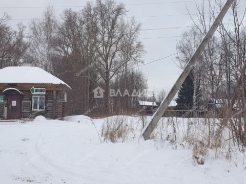 derevnya-vybolovo-bogorodskiy-municipalnyy-okrug фото