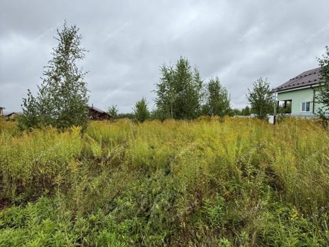 derevnya-mihalchikovo-kstovskiy-rayon фото