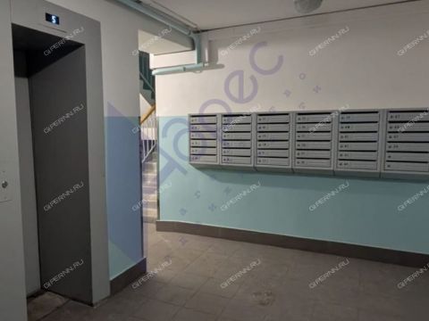 1-komnatnaya-b-r-zarechnyy-d-1 фото