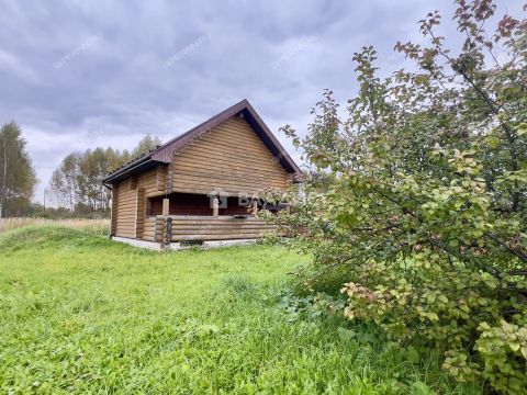 dom-gorod-bor-gorodskoy-okrug-bor фото