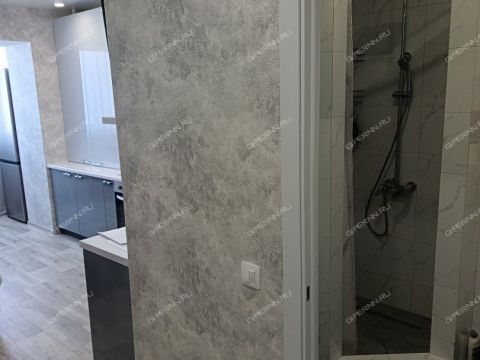 1-komnatnaya-selo-diveevo-diveevskiy-municipalnyy-okrug фото