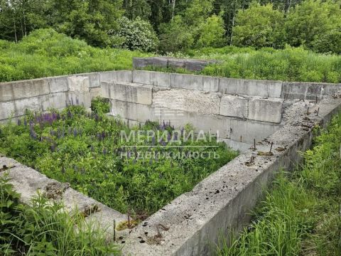 selo-redkino-gorodskoy-okrug-bor фото