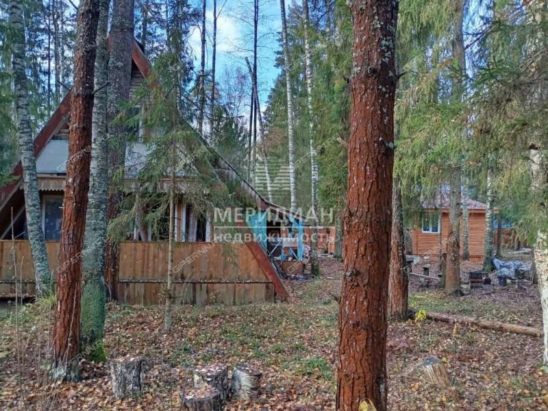 дача на 71 квартал Городецкого лесхоза Пуреховского лесничества село Вершилово