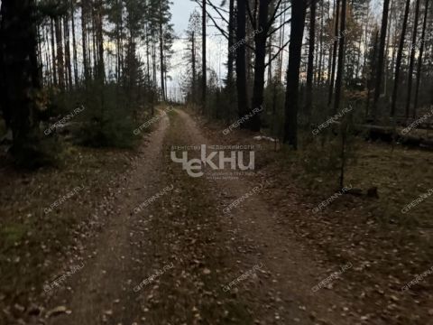 derevnya-kudrino-sokolskiy-gorodskoy-okrug фото