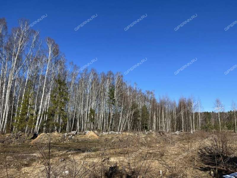 земельный участок под сельхоз назначение в Городецком районе Нижегородской области