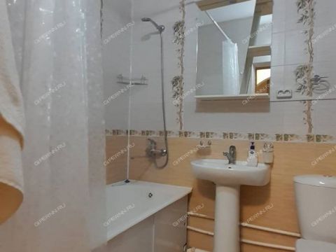 1-komnatnaya-ul-nizhne-pecherskaya-d-15 фото