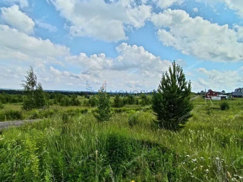 земельный участок 10 соток Ясная улица село Ефимьево