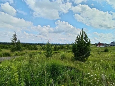 selo-efimevo-bogorodskiy-municipalnyy-okrug фото