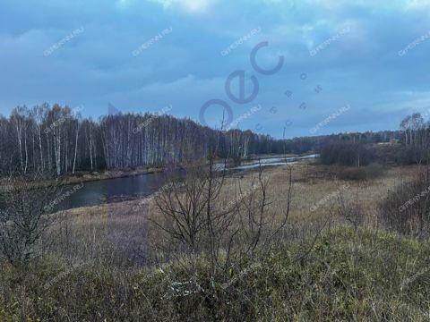 derevnya-fefeliha-sokolskiy-gorodskoy-okrug фото